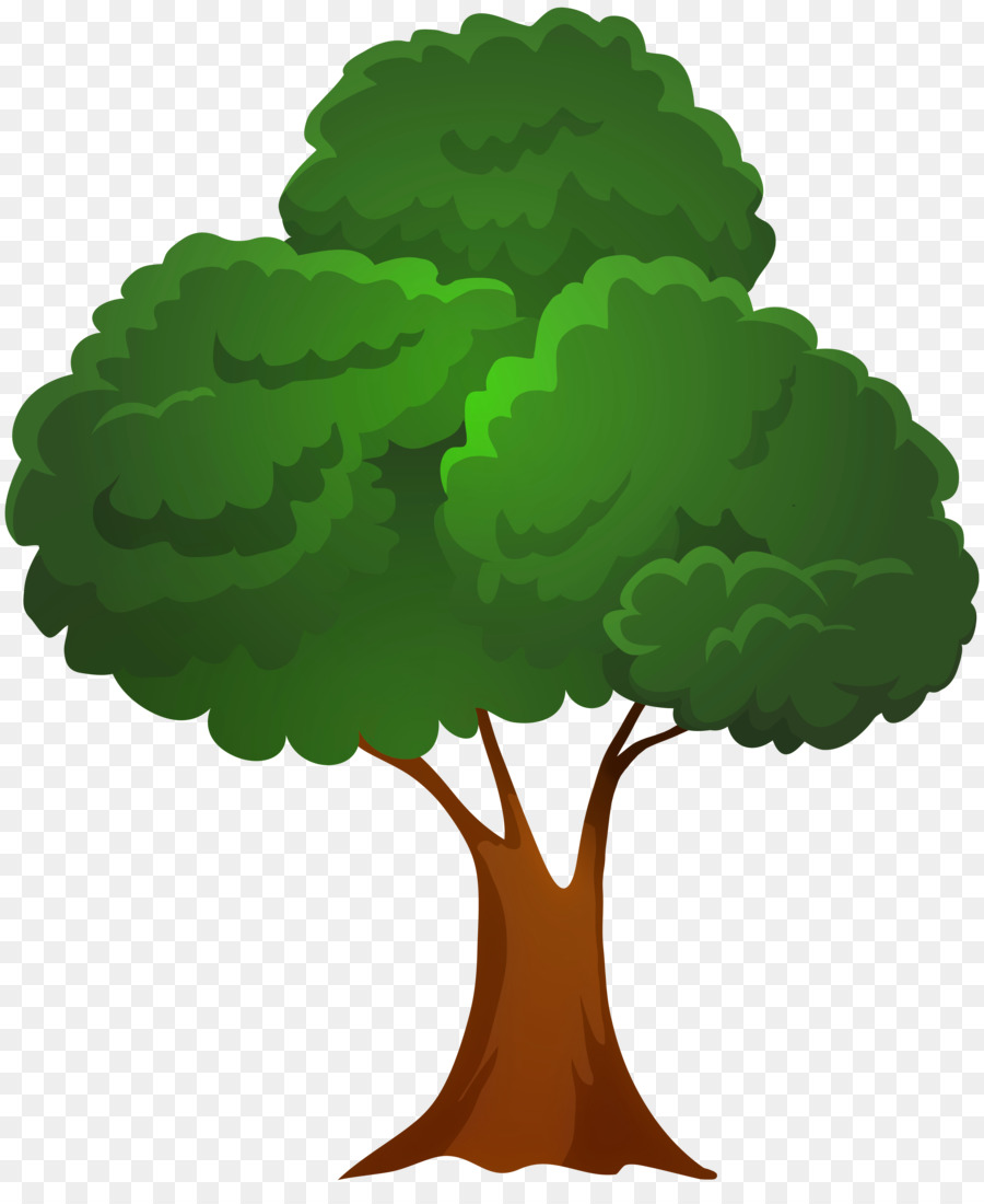 Árbol Bonsái，Árbol PNG