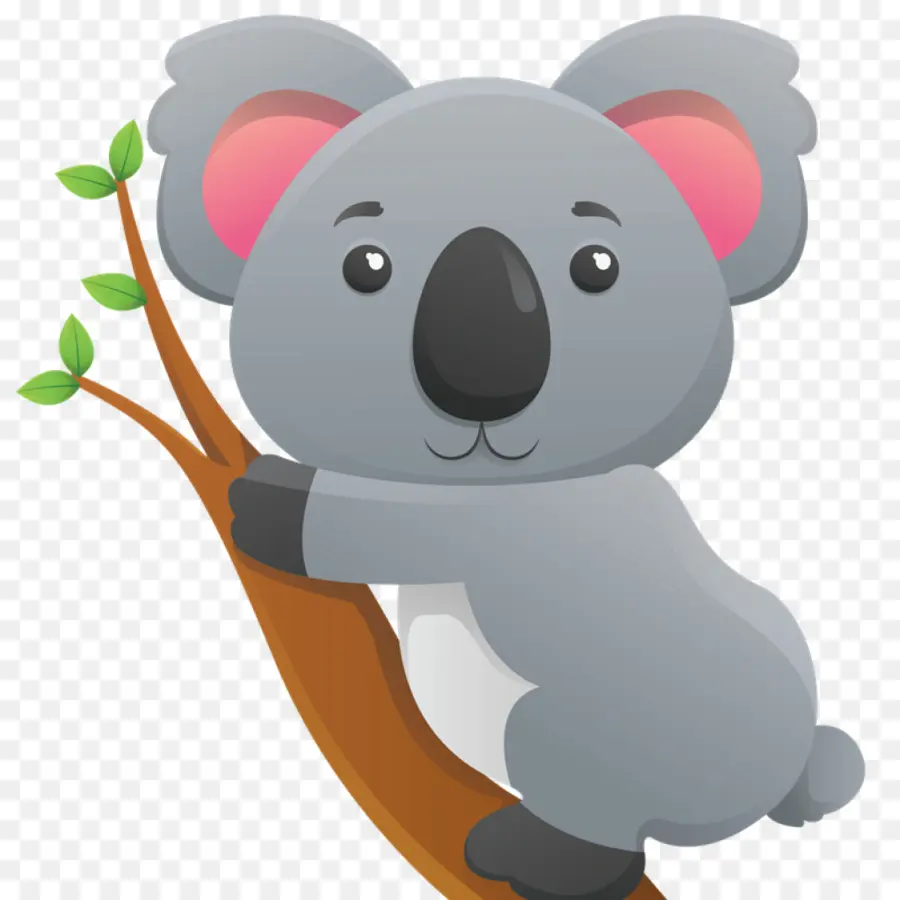 Koala，Bebé Koala PNG