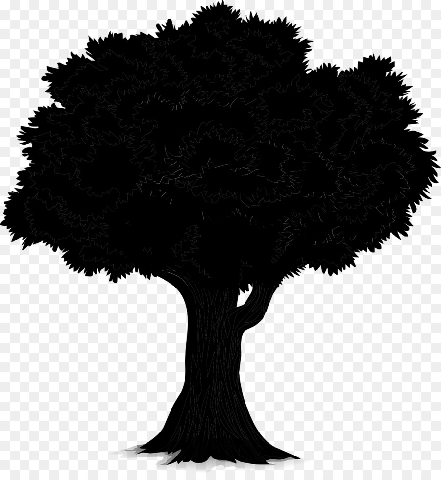 Silueta De Arbol，Planta PNG