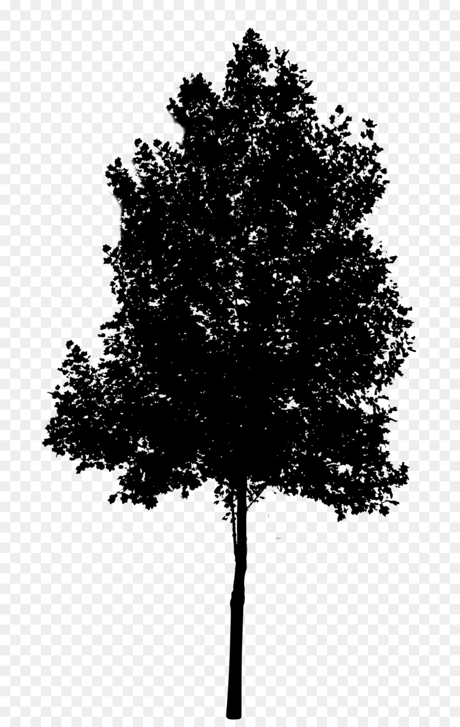 Árbol，Silueta PNG