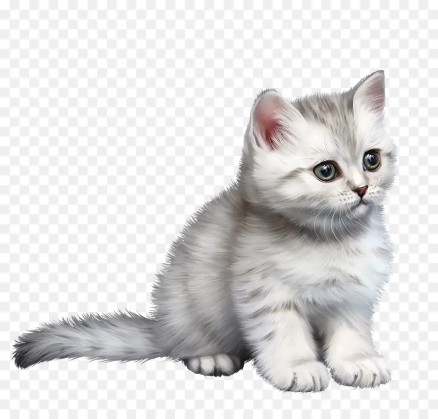 Gato Gris，Mascota PNG