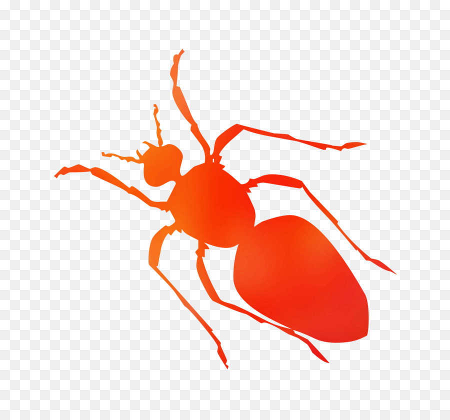 Hormiga，Los Insectos PNG