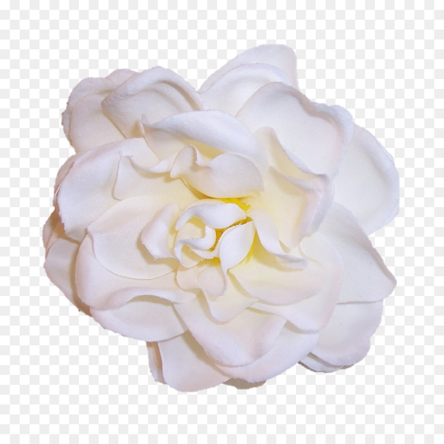 Broche，Las Rosas De Jardín PNG