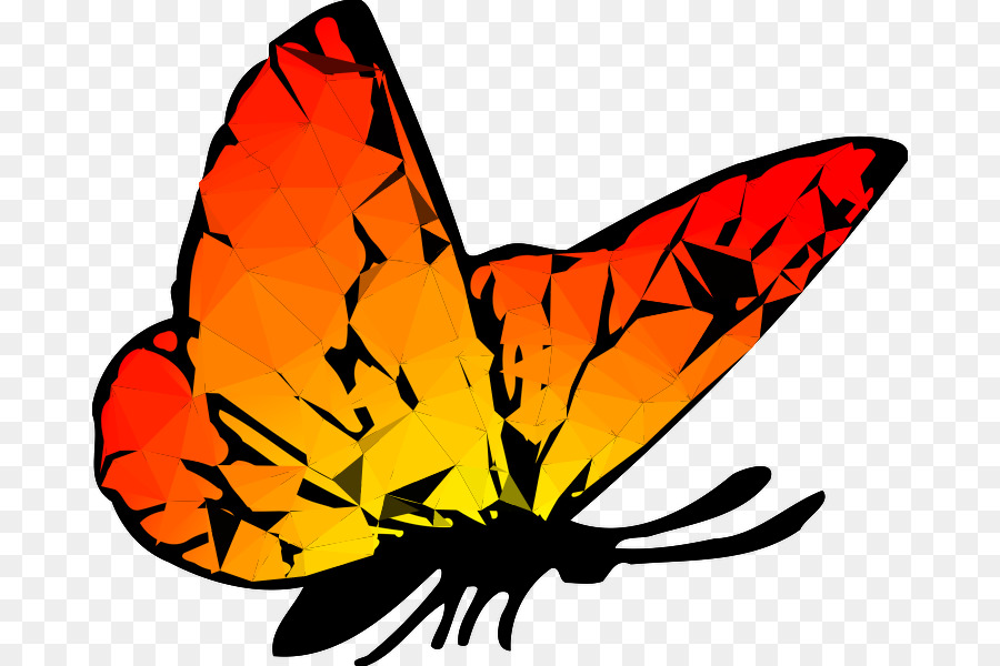 Mariposa，Dibujo PNG