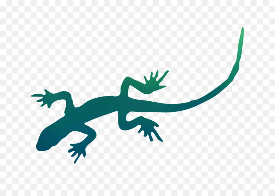 Geco，Lagarto PNG