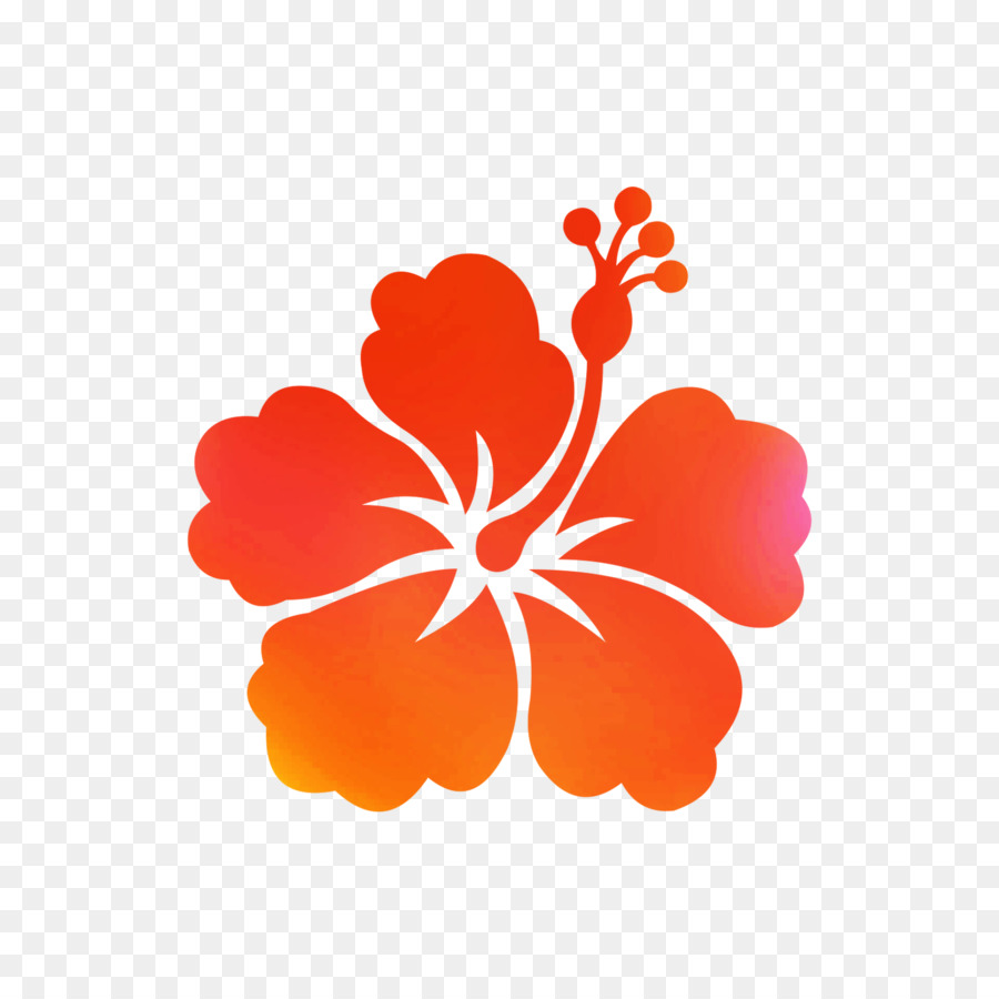 Hawai，Shoeblackplant PNG