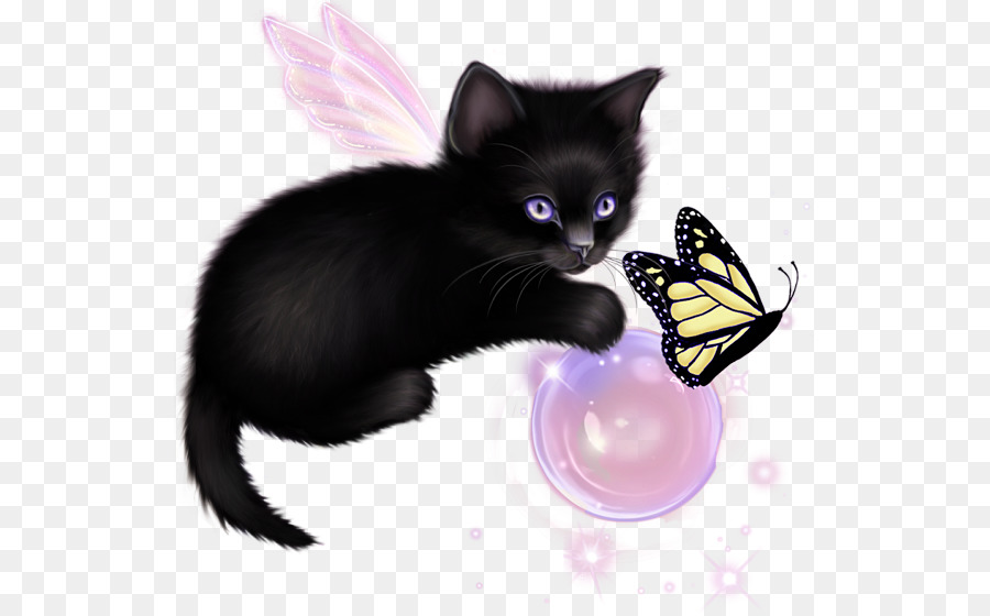 Gato，Gatito PNG