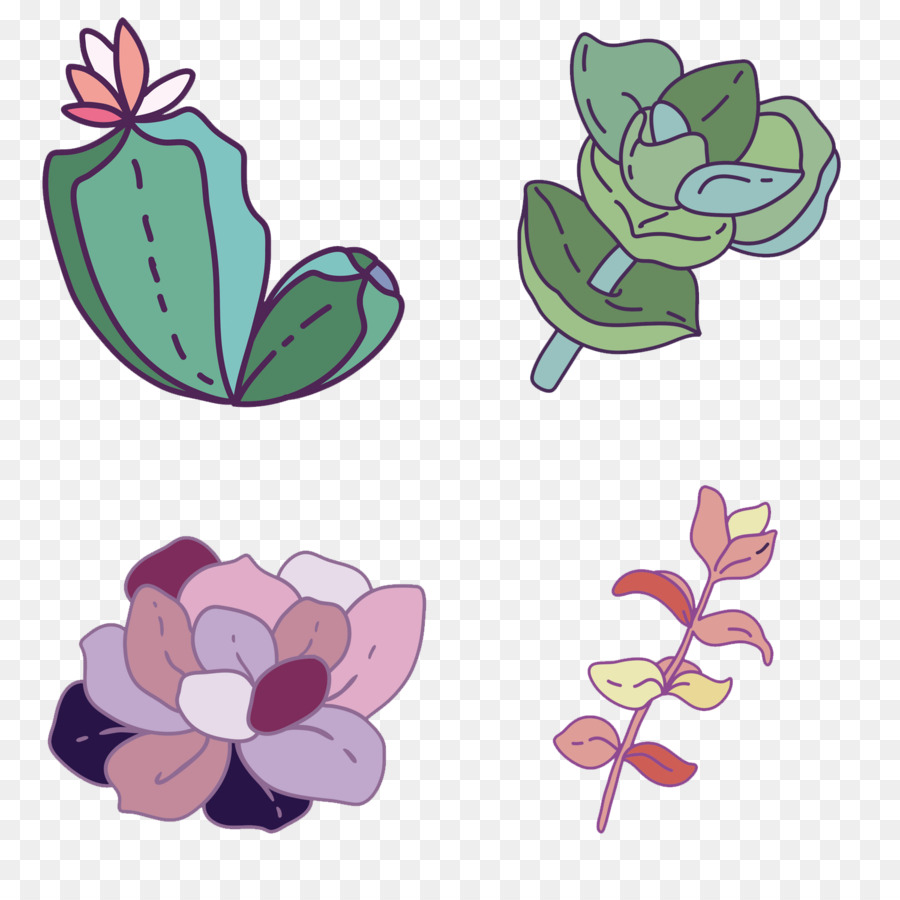 Diseño Floral，Planta Suculenta PNG