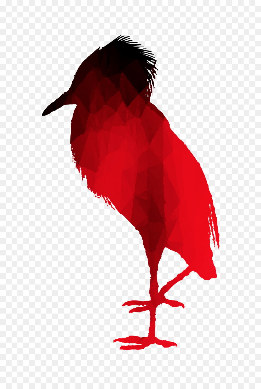 Aves，Pico PNG