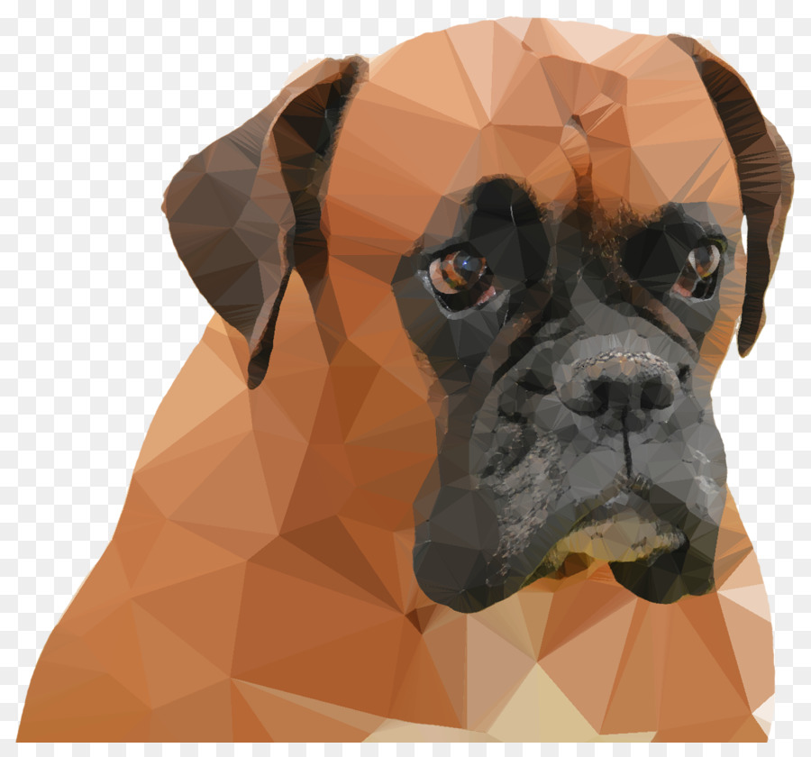 Boxeador，Bulldog PNG