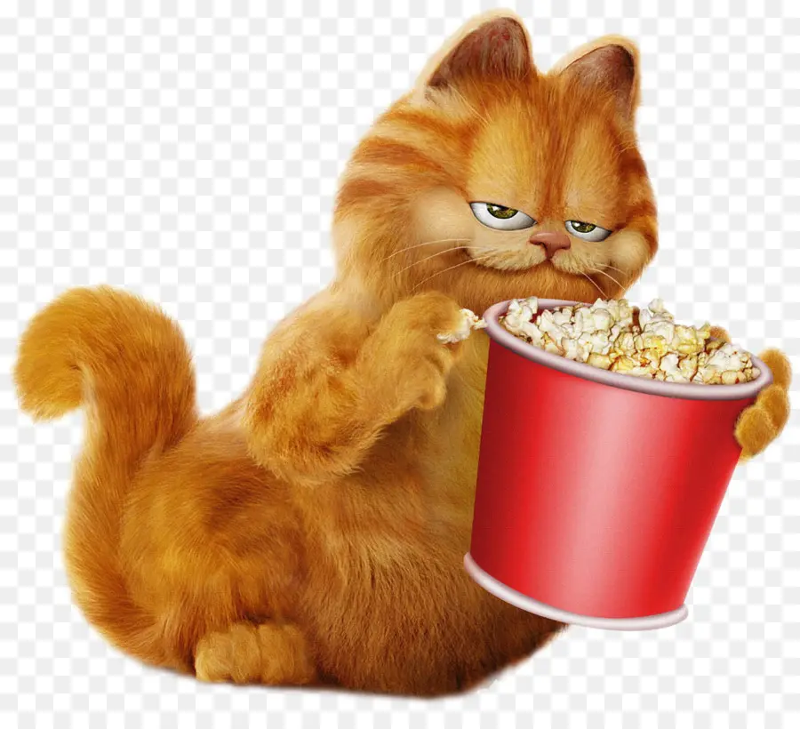 Gato Con Palomitas De Maíz，Bocadillo PNG