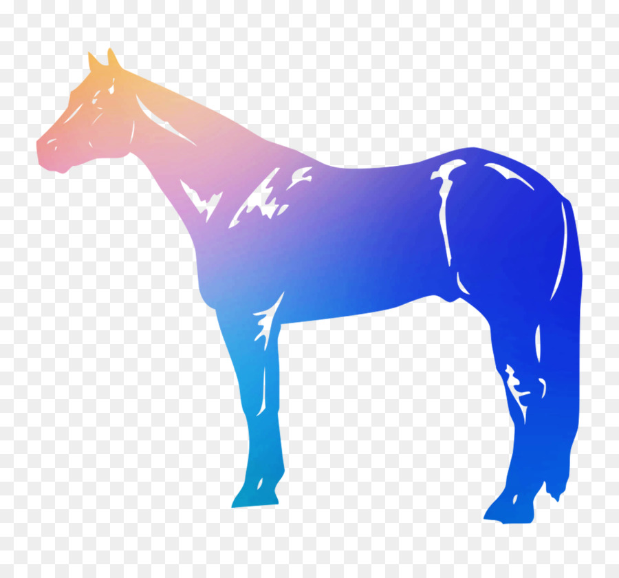 Caballo De Cuarto Americano，Appaloosa PNG