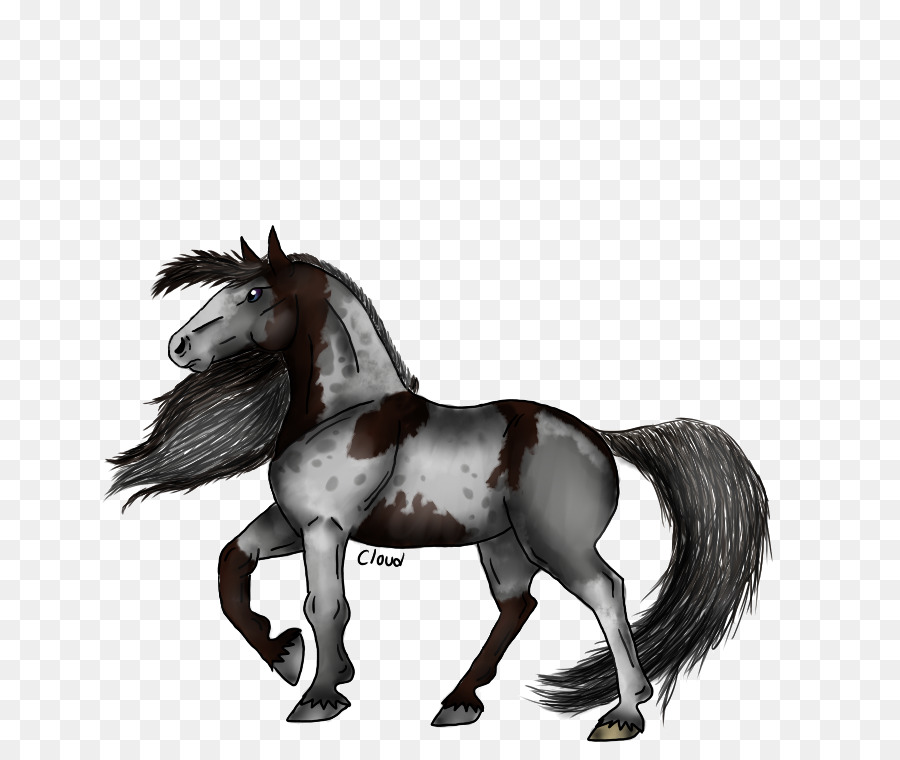 Caballo Negro，Equino PNG