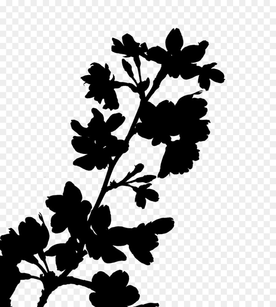 Silueta De Flor，Negro PNG