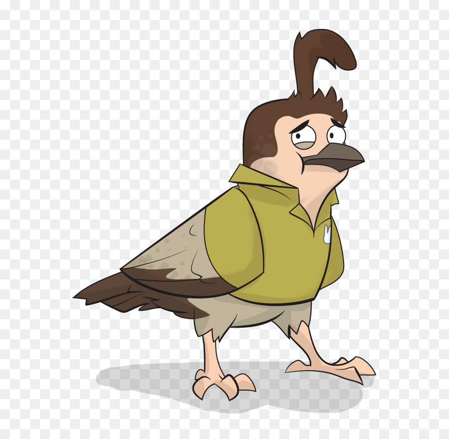 Pollo，Cygnini PNG