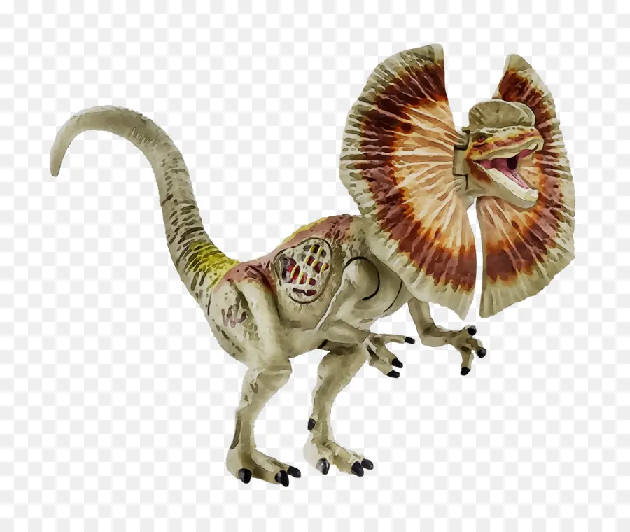 Velociraptor，Dinosaurio PNG