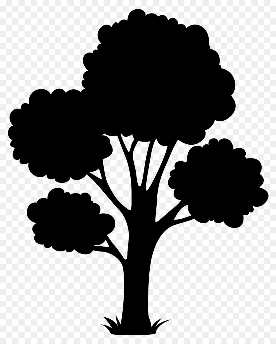 Silueta De Arbol，Planta PNG