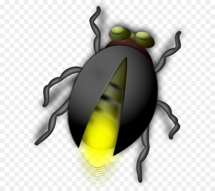 Iconos De Equipo，Firefly PNG