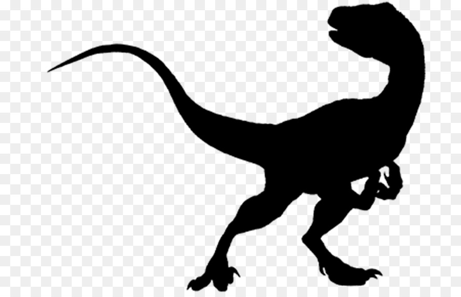 Jurassic Park，Velociraptor PNG