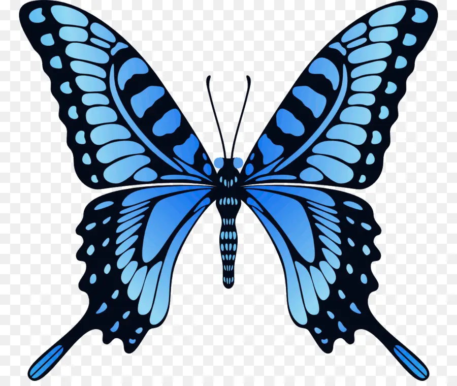 Mariposa，Animación PNG