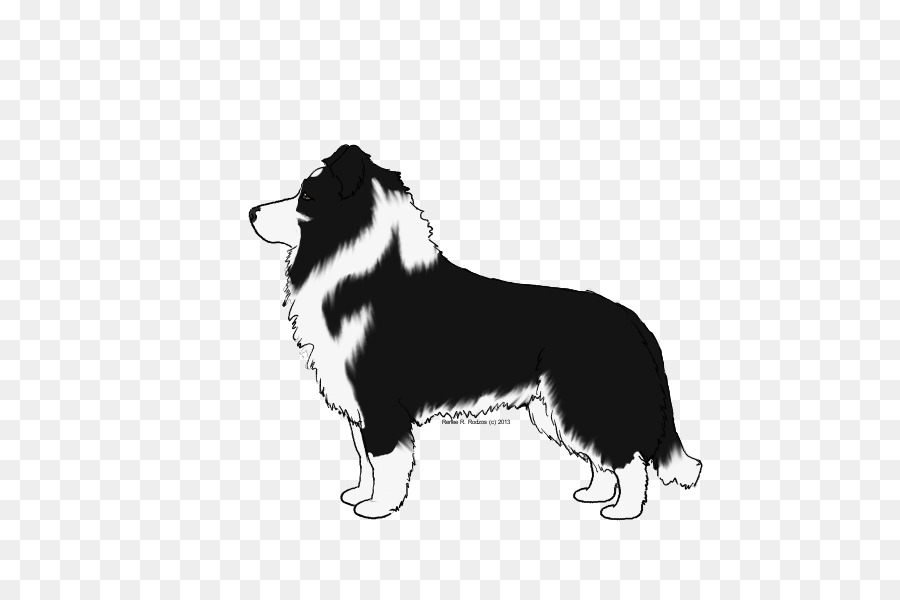 Border Collie，Raza De Perro PNG