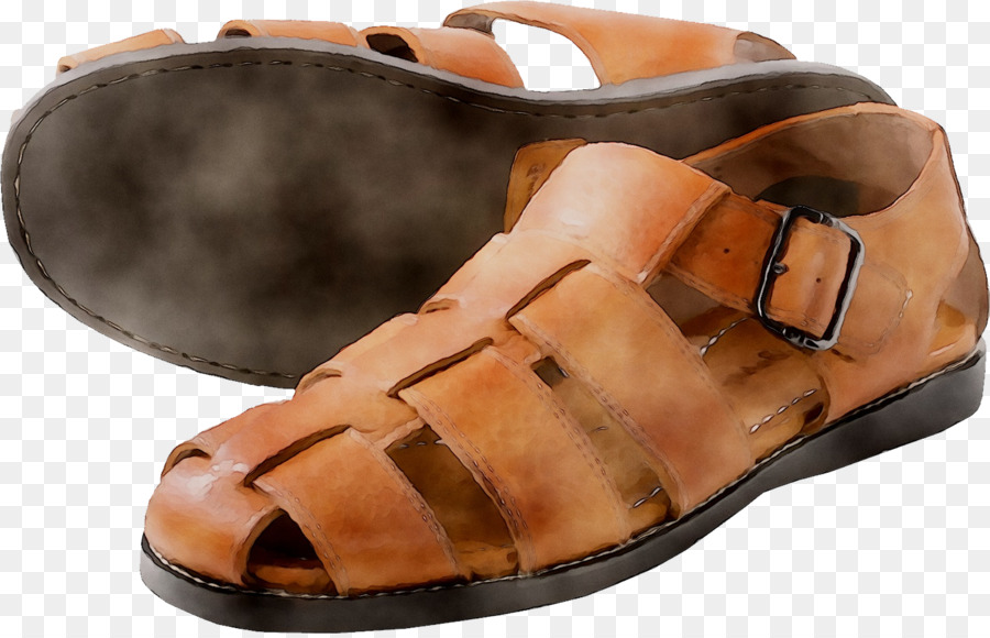 Zapato，Deslice PNG