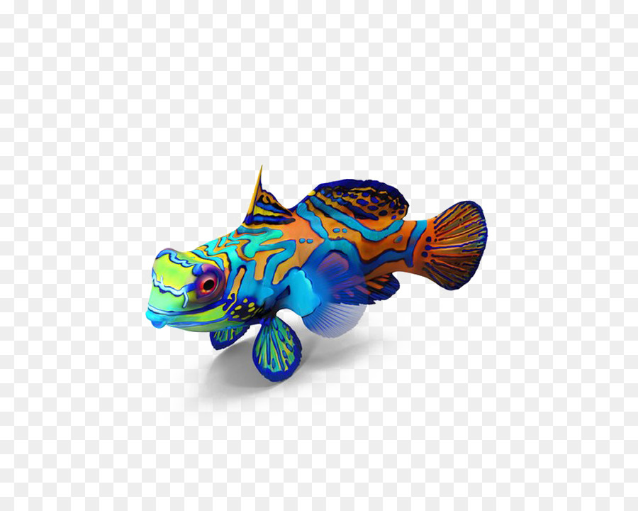 Mandarinfish，Los Peces PNG