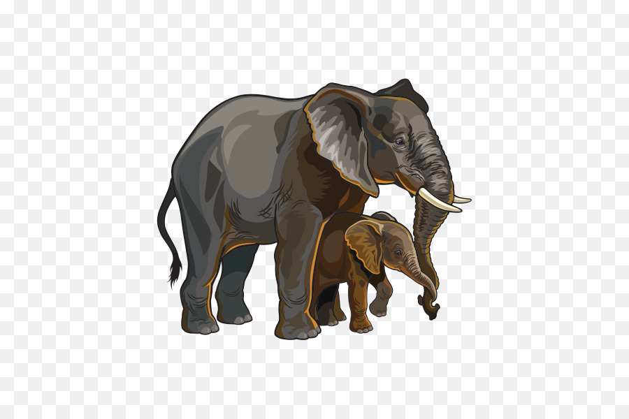 Elefante Asiático，El Elefante Africano PNG