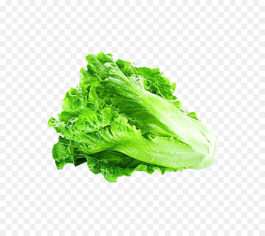 Lechuga，Vegetal PNG