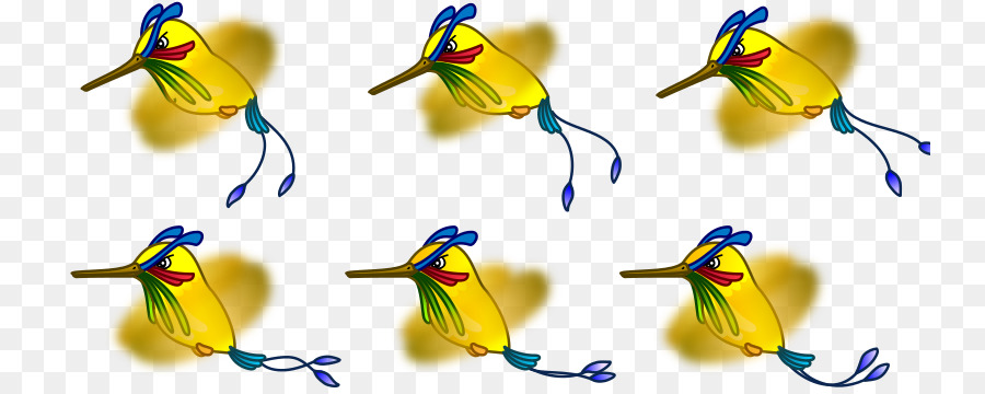 Aves，Colibrí PNG