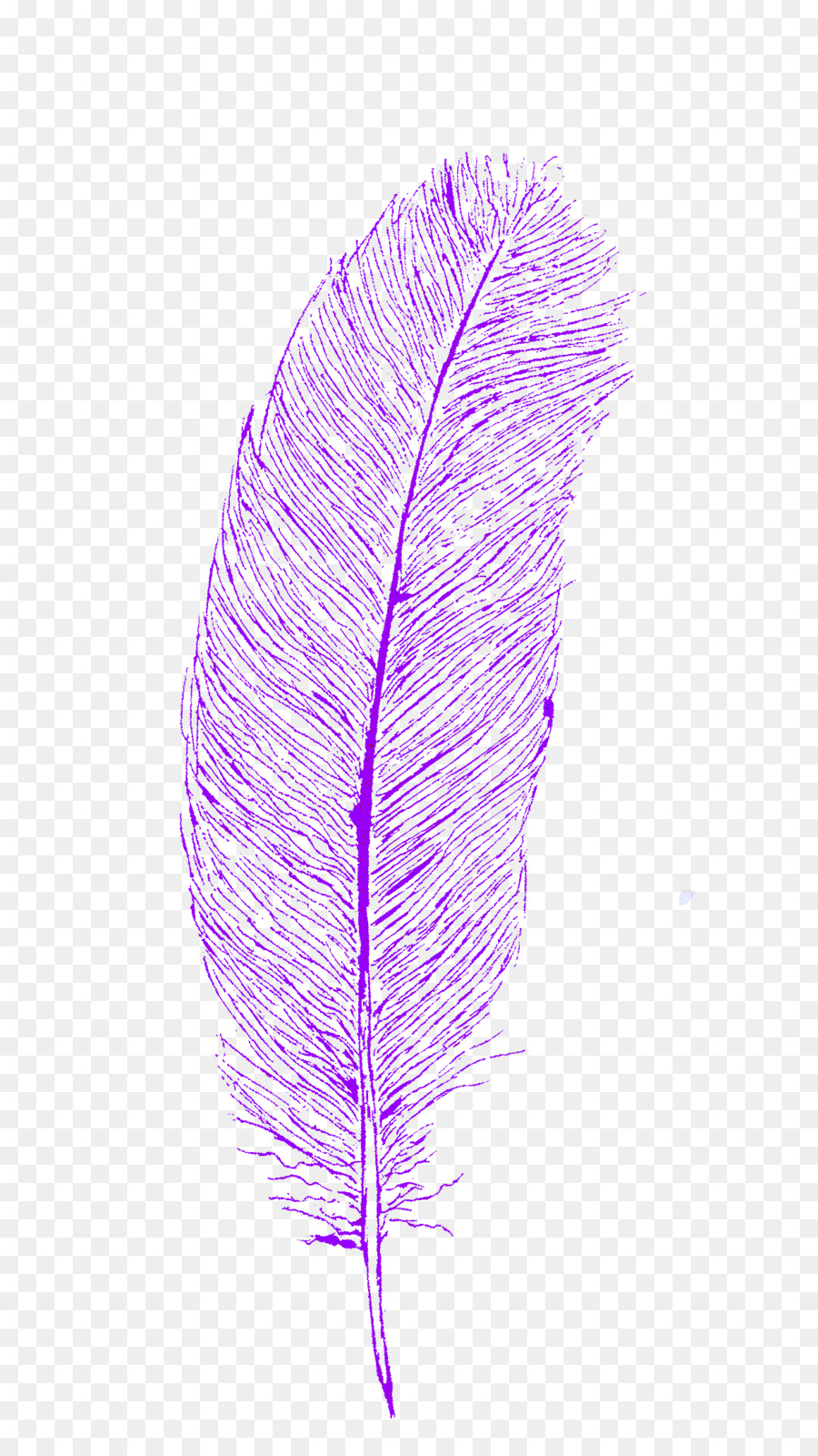 Pluma，Línea PNG