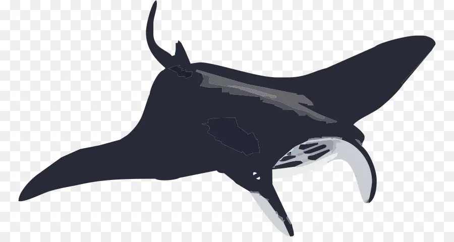 La Acción De Juguete Figuras，Manta Ray PNG