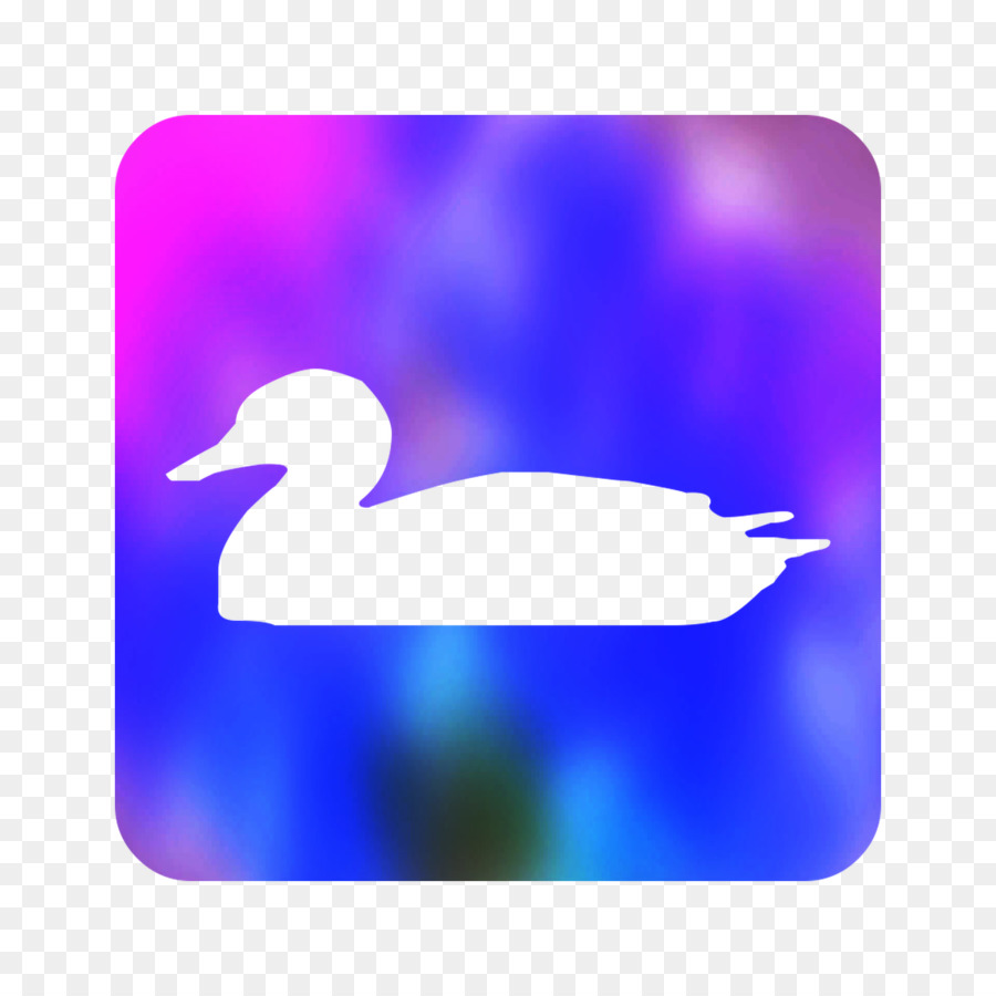 Aves，Morado PNG