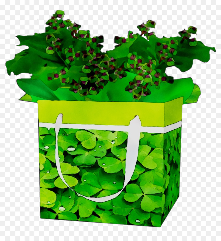 El Día De San Patricio，Shamrock PNG