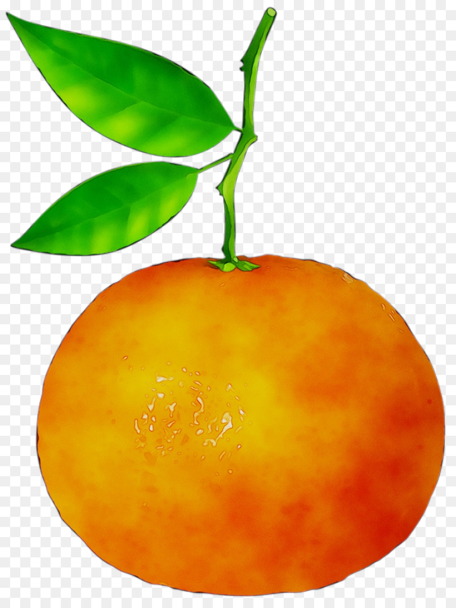 Naranja，Agrios PNG