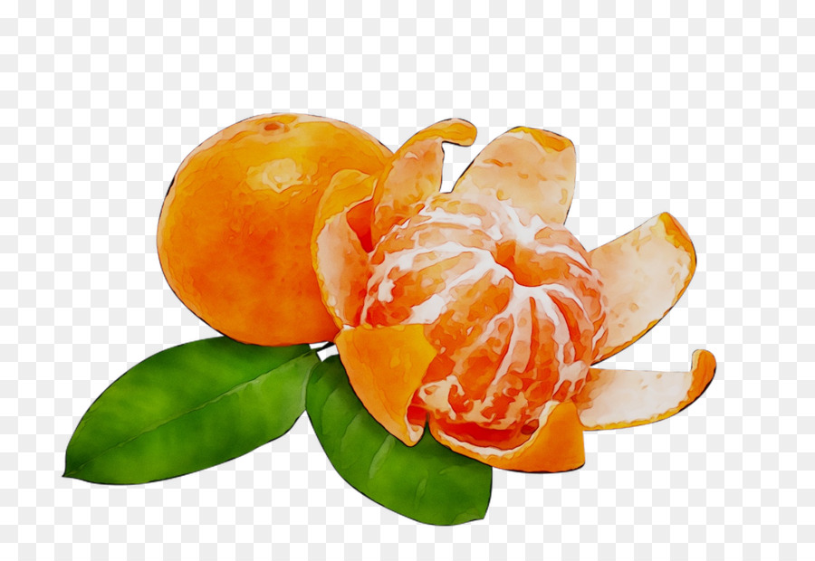 Mandarina，Pomelo PNG