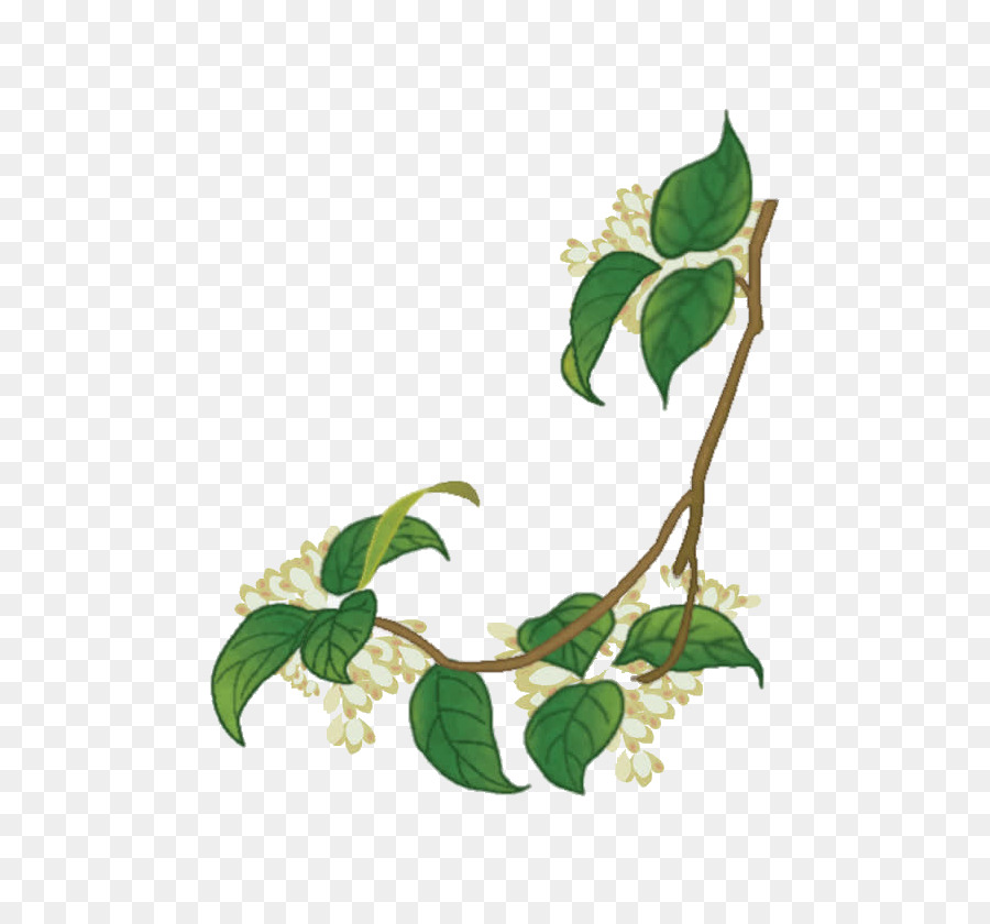 Osmanthus Dulce，Vino PNG