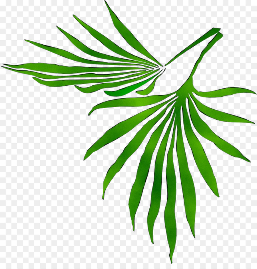 Hoja，Tallo De La Planta PNG