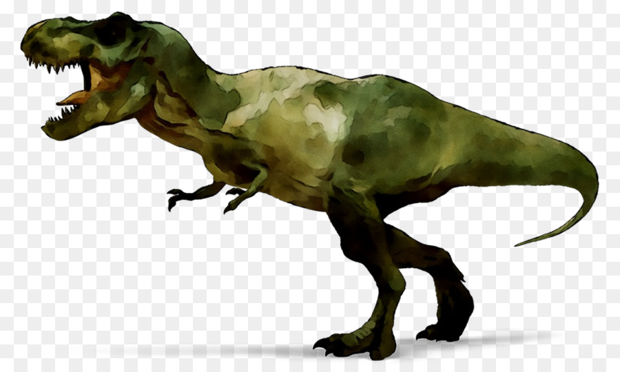 Indominus Rex，Dinosaurio PNG