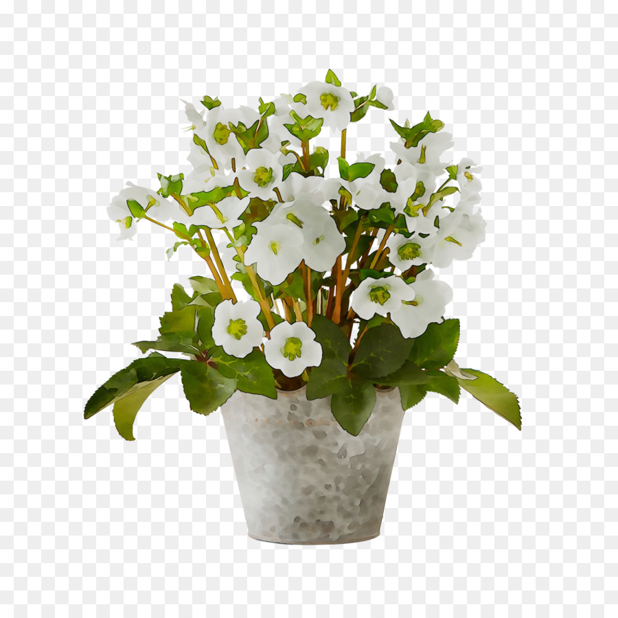 Las Flores Cortadas，Flor PNG