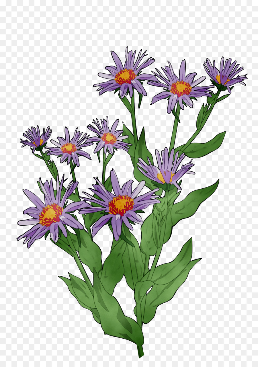 Flores，Florecer PNG