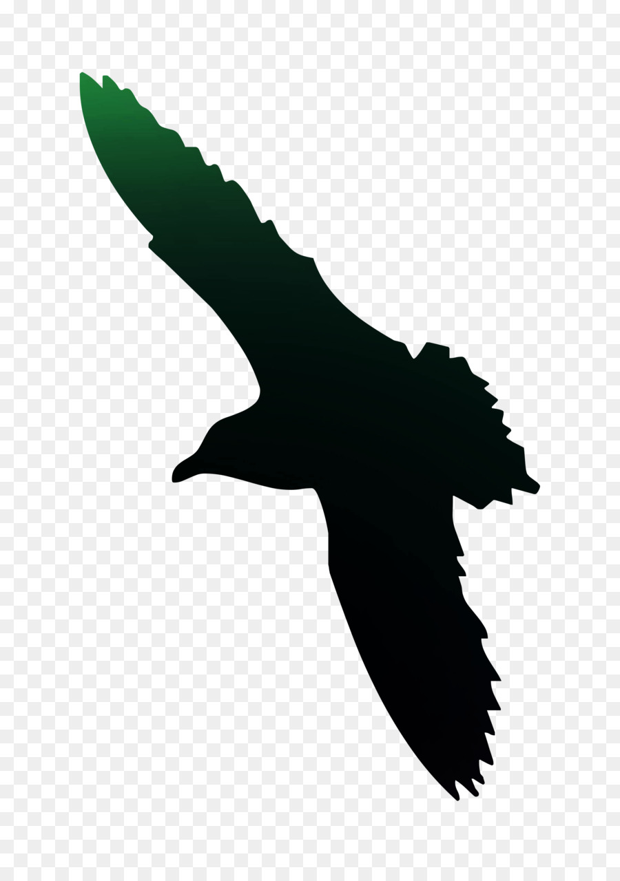 Cartel，Aves PNG