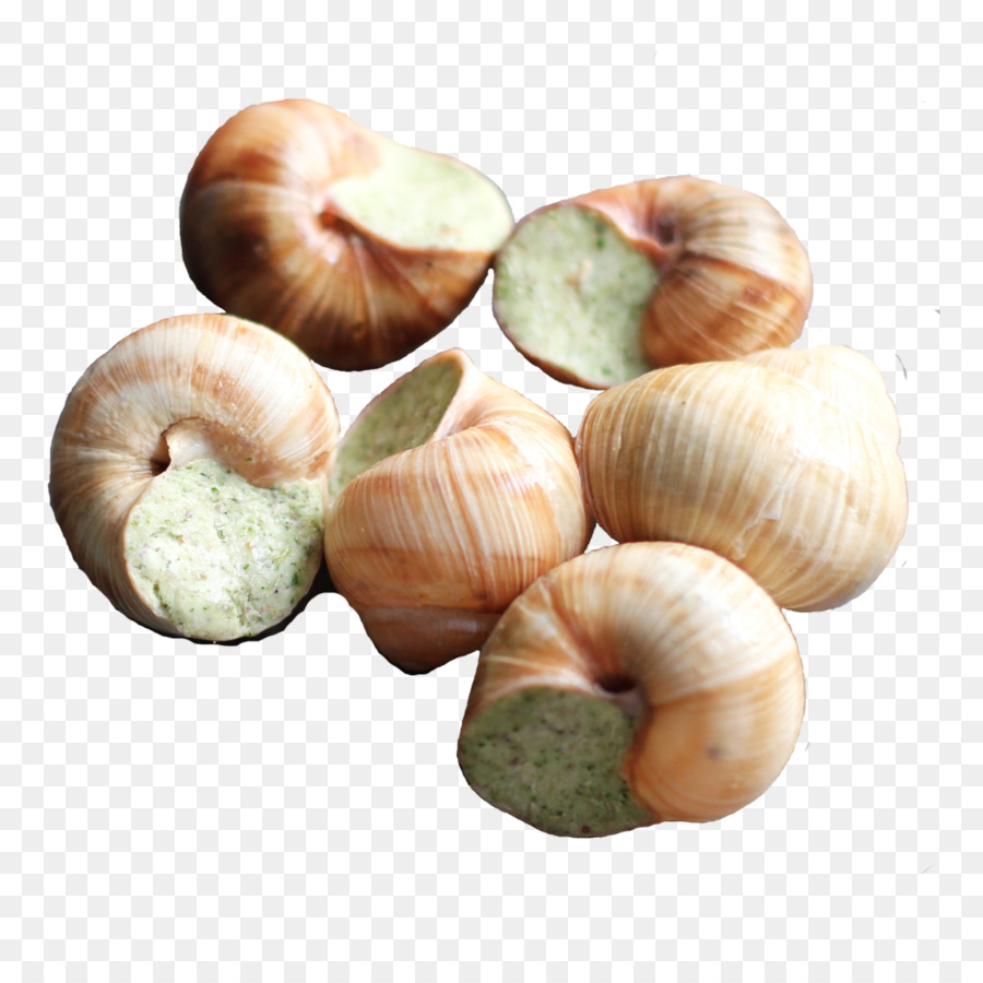 Escargot，Lasaña PNG