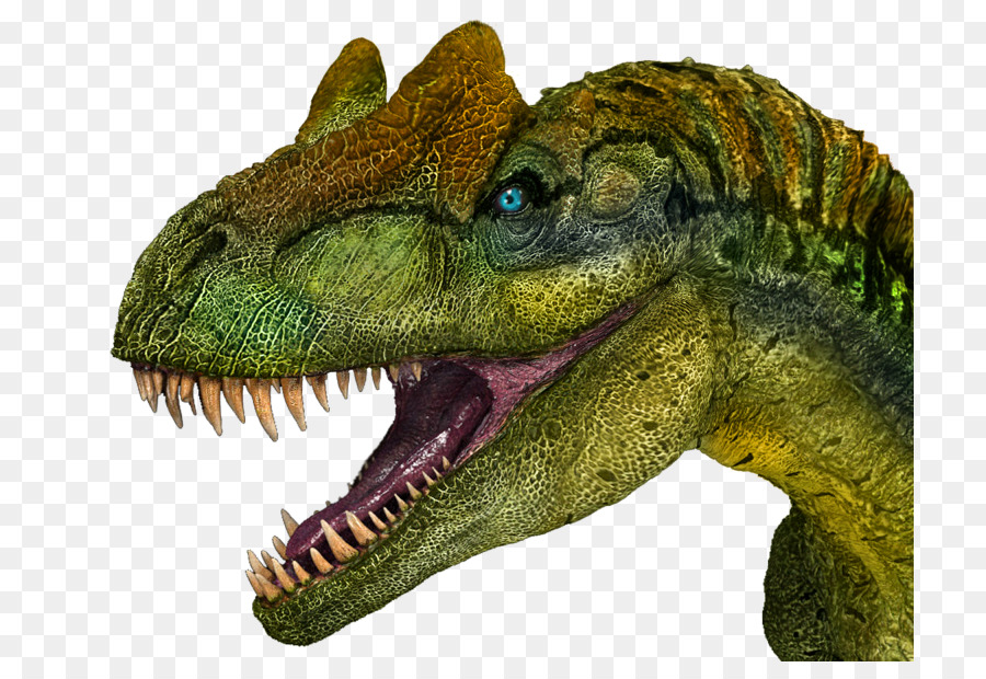 Carnotaurus，Allosaurus PNG