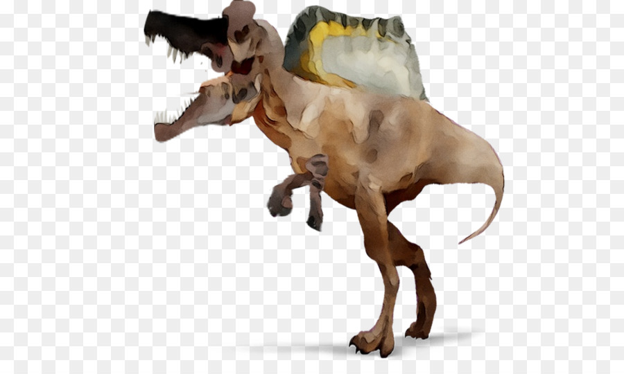 Raza De Perro，Perro PNG