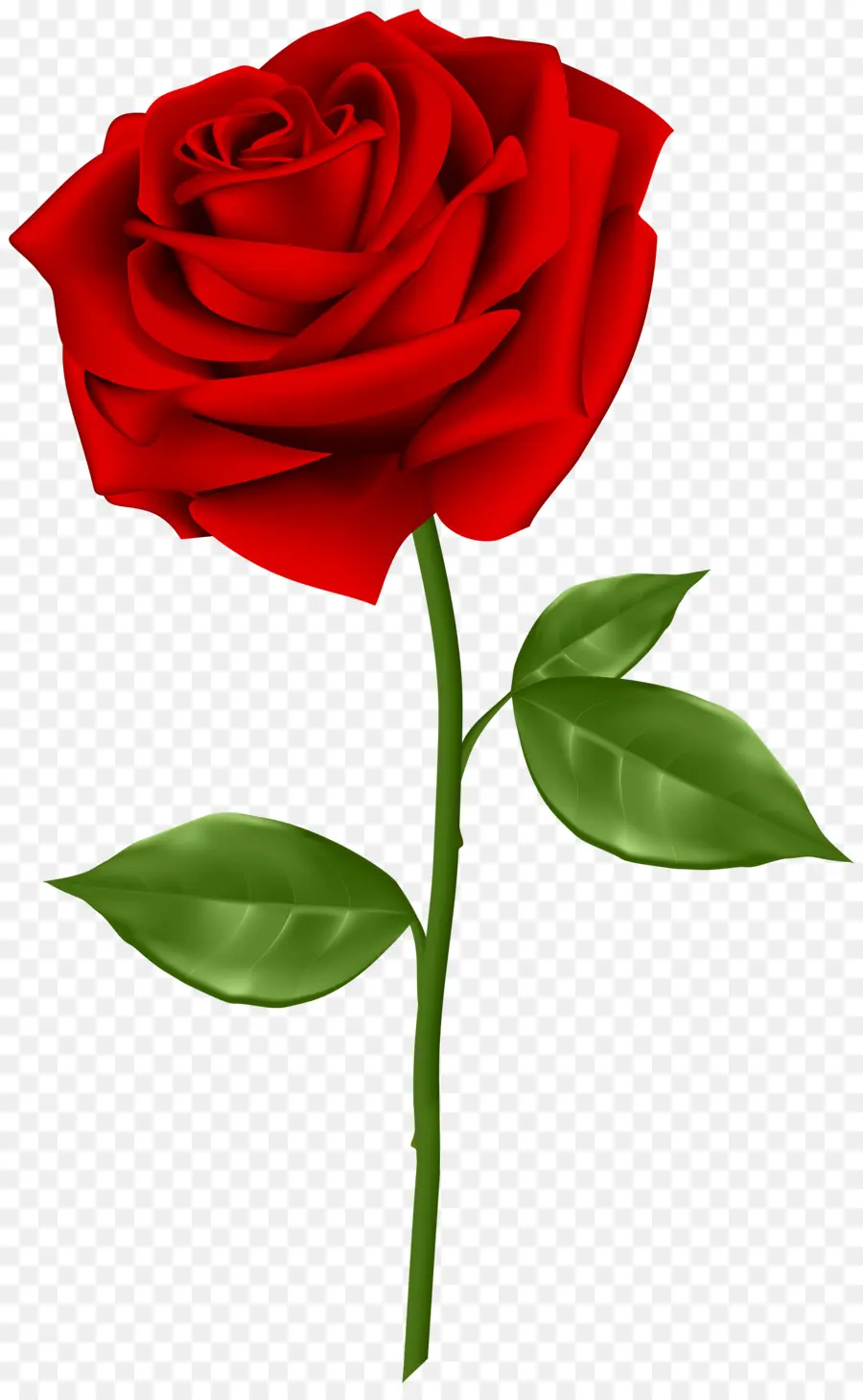 Rosas Rojas，Ramo PNG