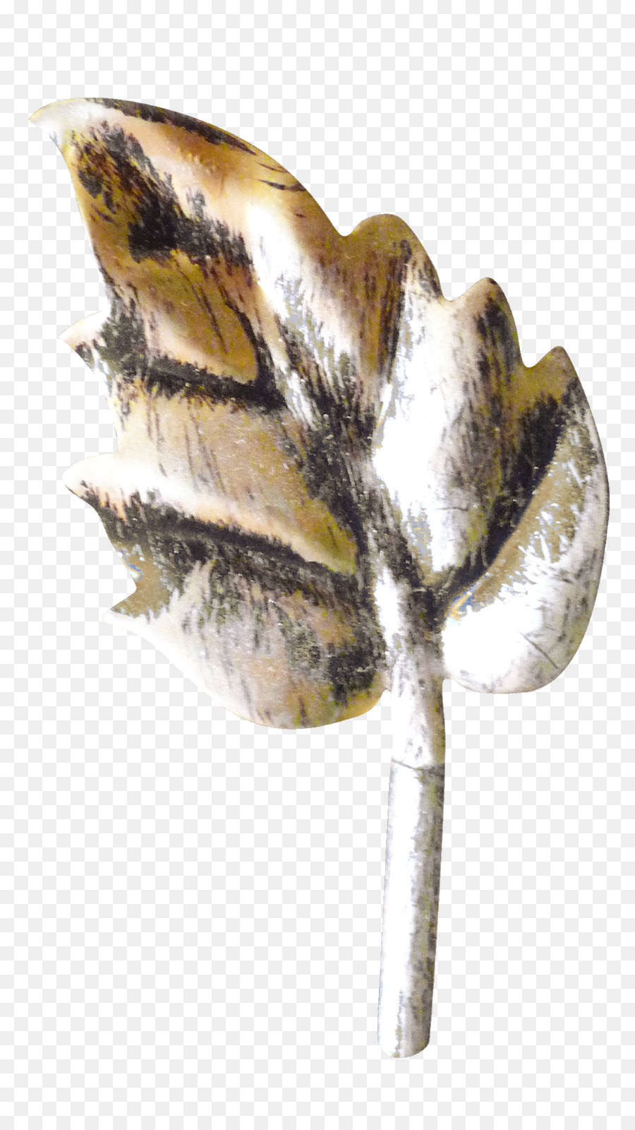 Hoja，Tallo De La Planta PNG