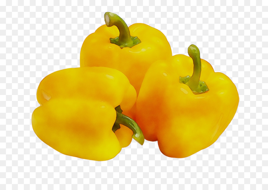 Pimientos Rojos Secos，Picante PNG