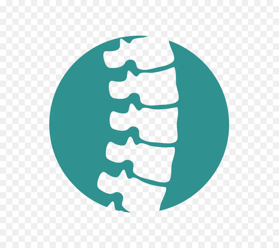 La Columna Vertebral，Royaltyfree PNG