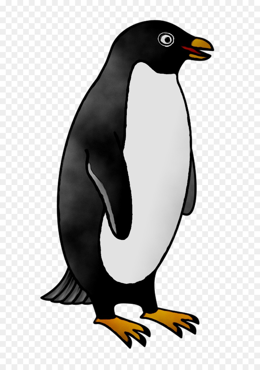 Pingüino Rey，Pingüino PNG